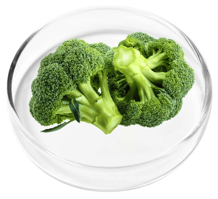ingredient