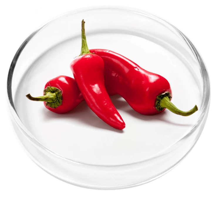 ingredient
