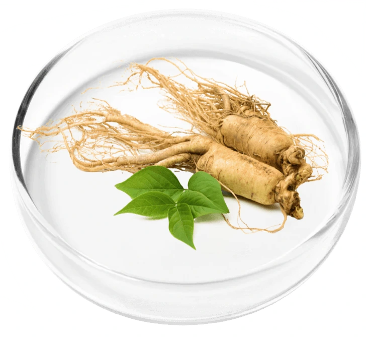 ingredient